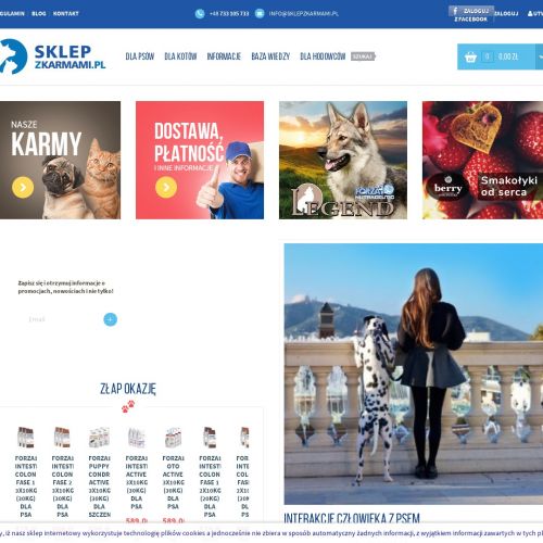 Najlepsza karma sucha dla kotów po sterylizacji