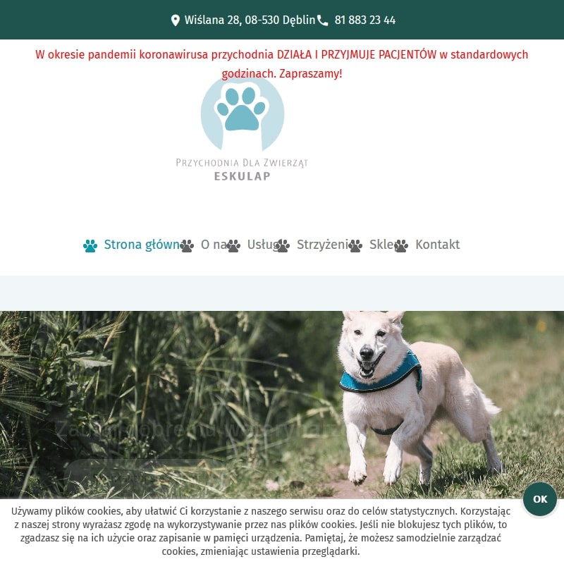 Dermatolog weterynarz - Dęblin