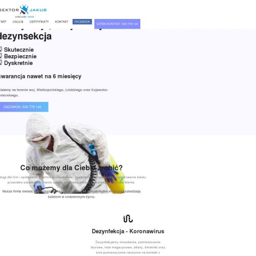 Zwalczanie karaluchów w Kaliszu