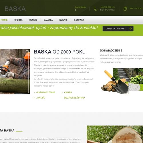 Gliwice - wycinka drzew śląskie