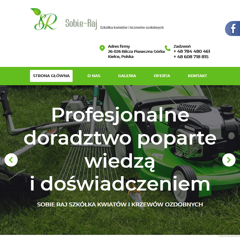 Krzewy ozdobne - Kielce