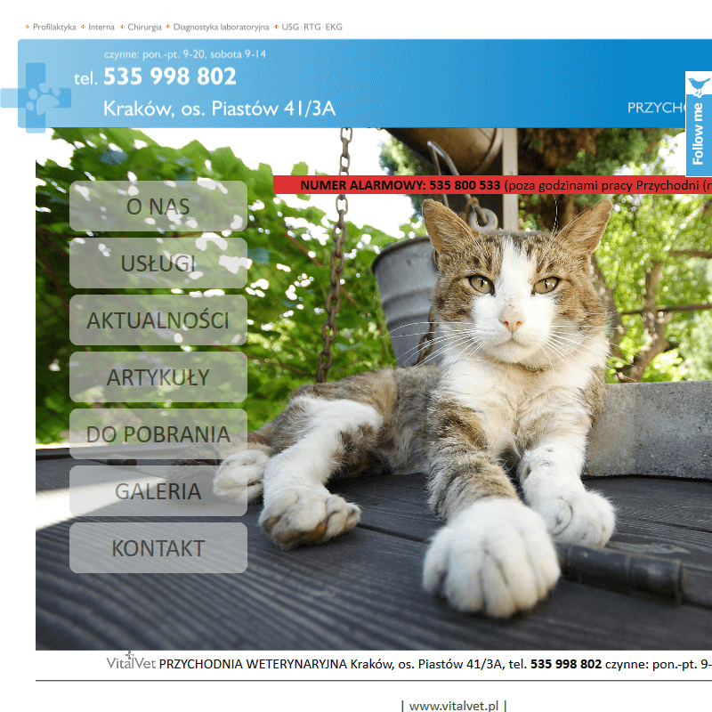 Chirurgia dla zwierząt Kraków